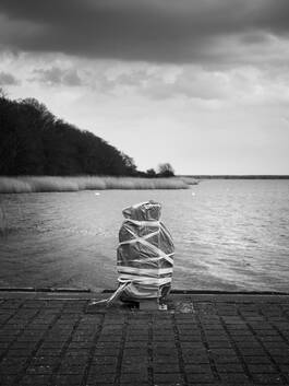 DAGMAR SCHWELLE